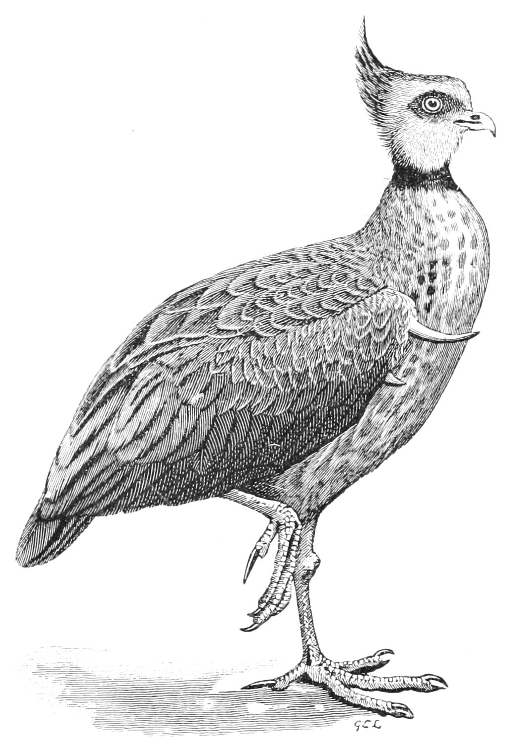 fig32