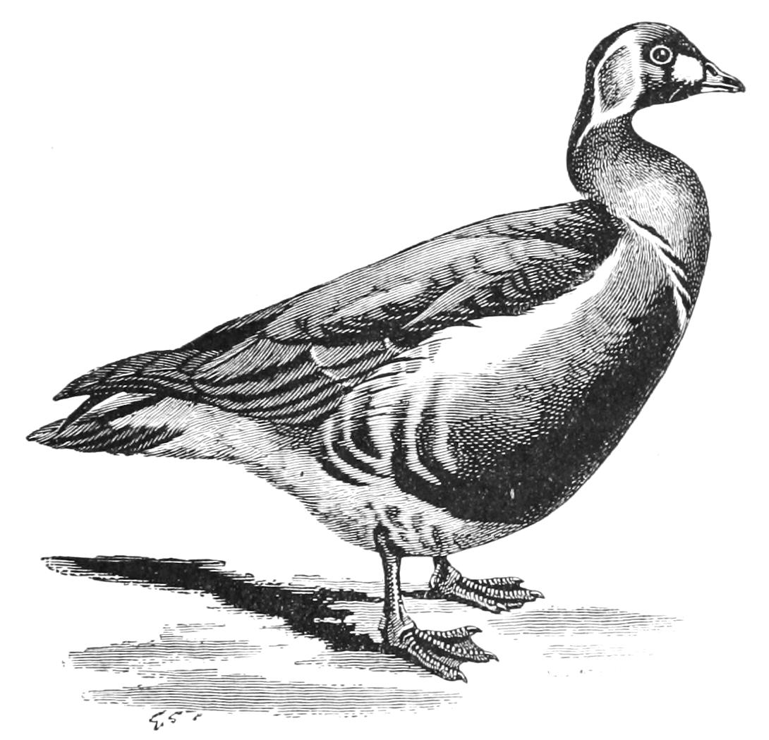 fig35