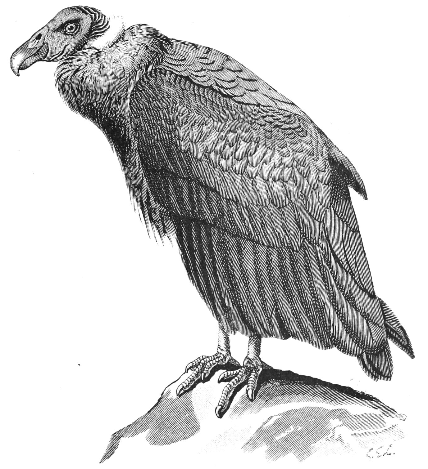 fig37