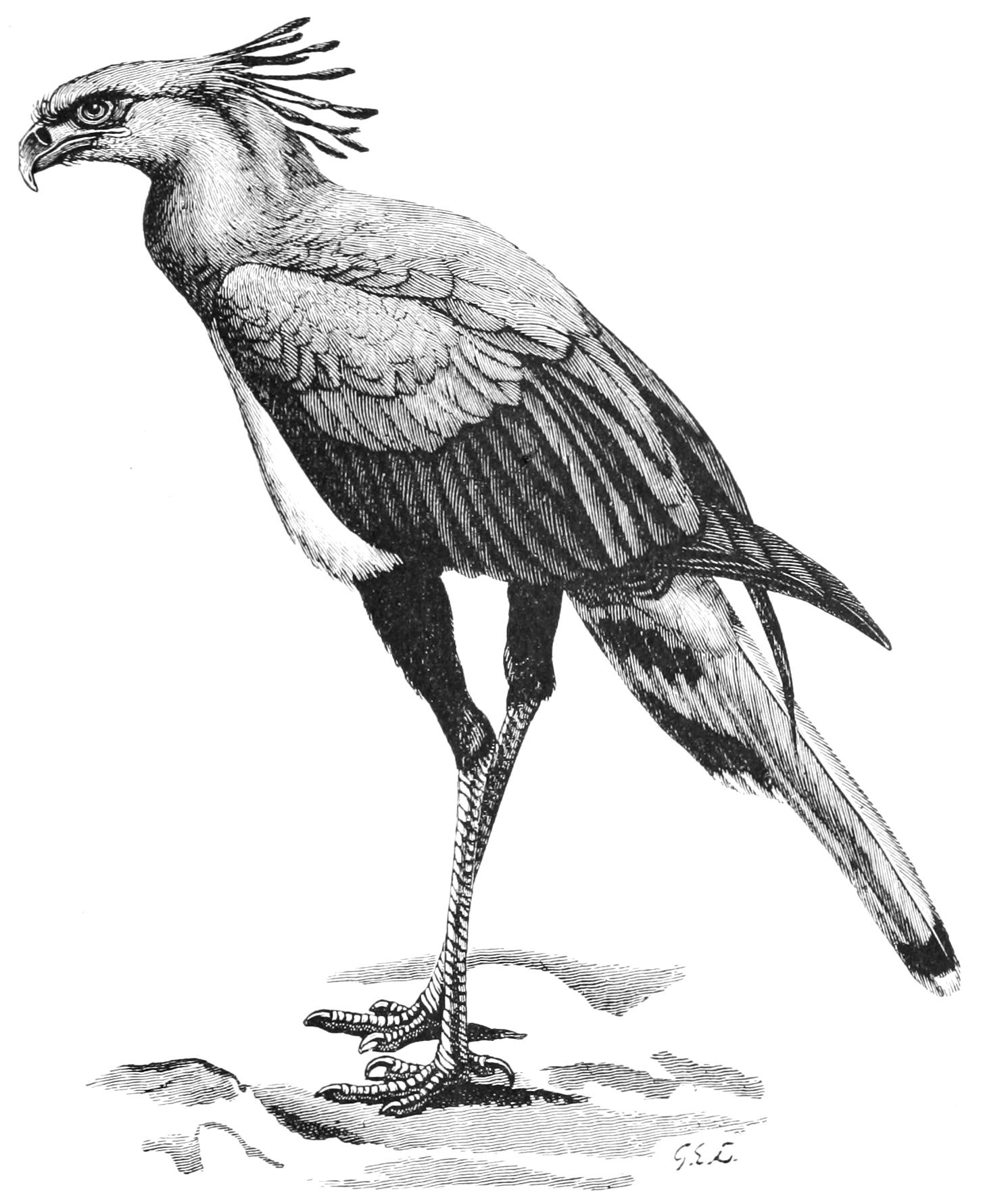fig38