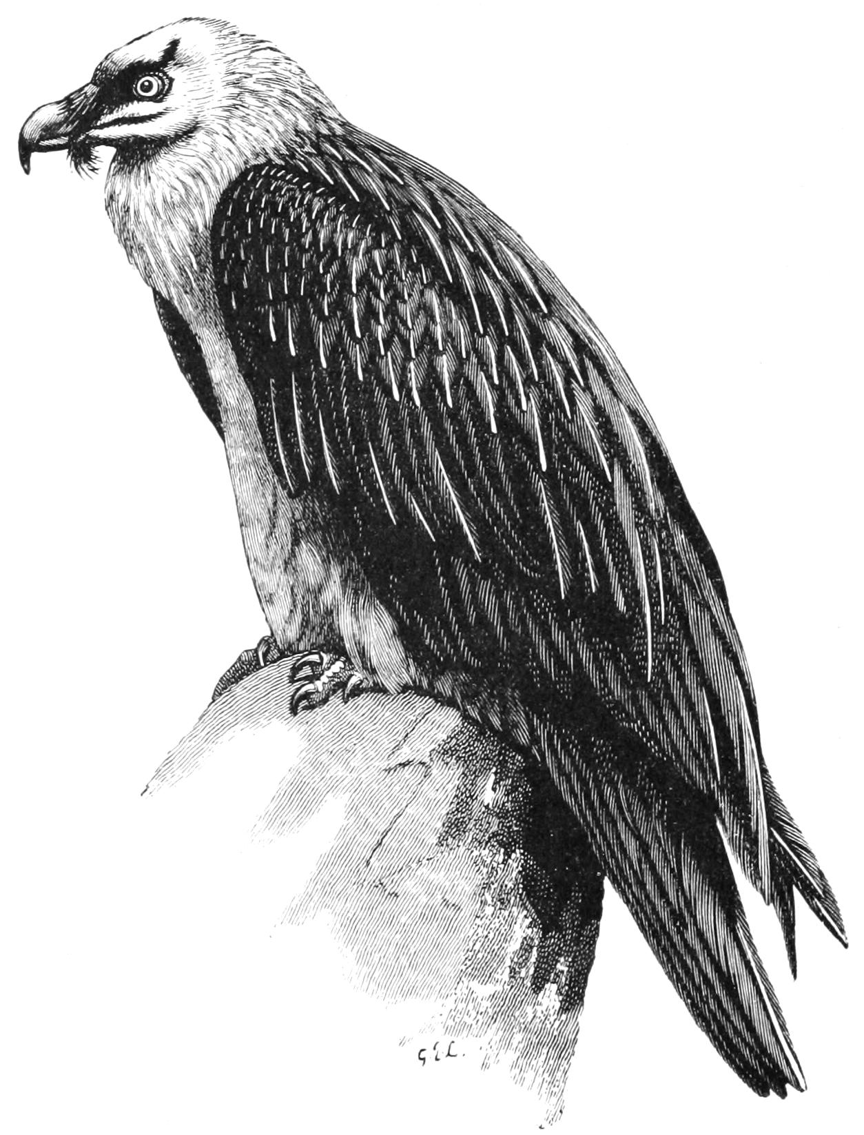 fig39