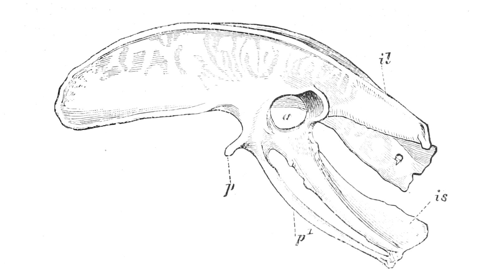 fig4