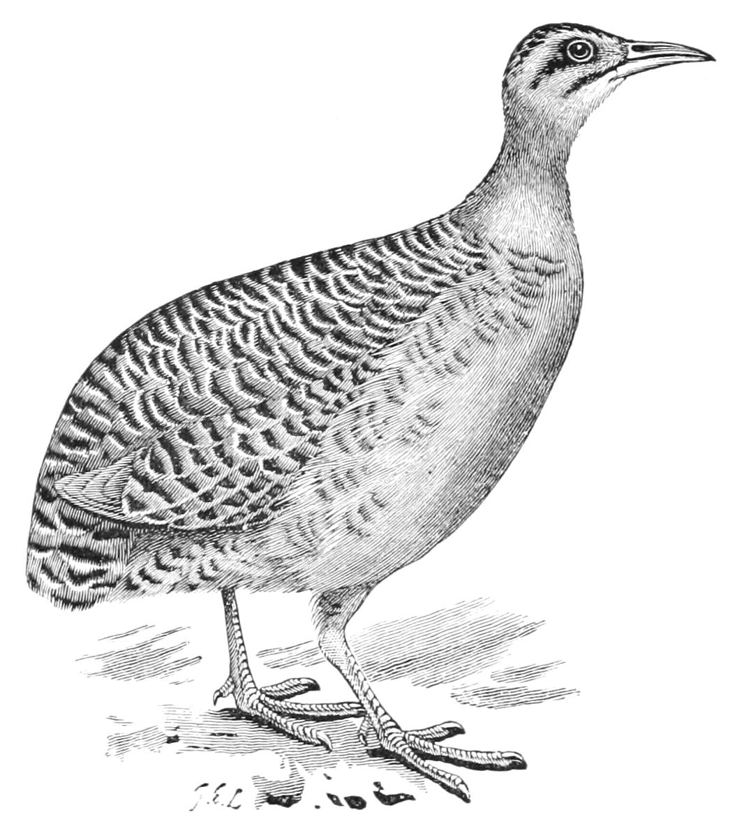 fig42