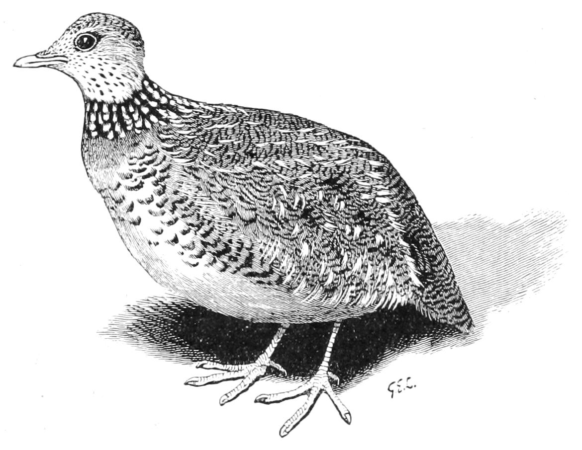 fig43