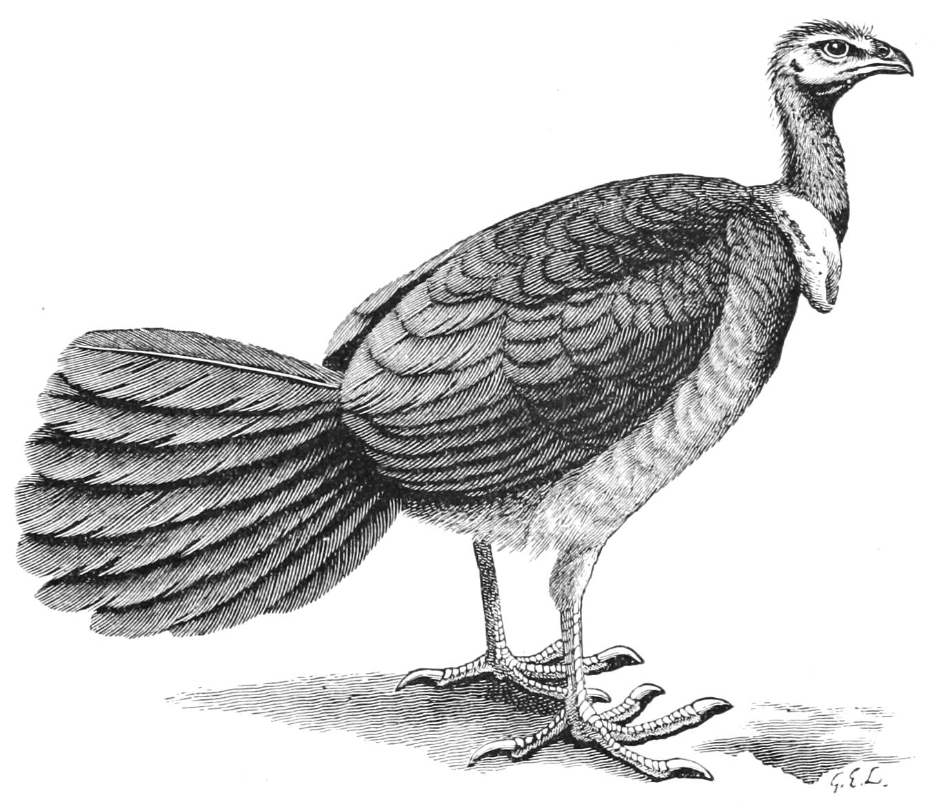 fig44