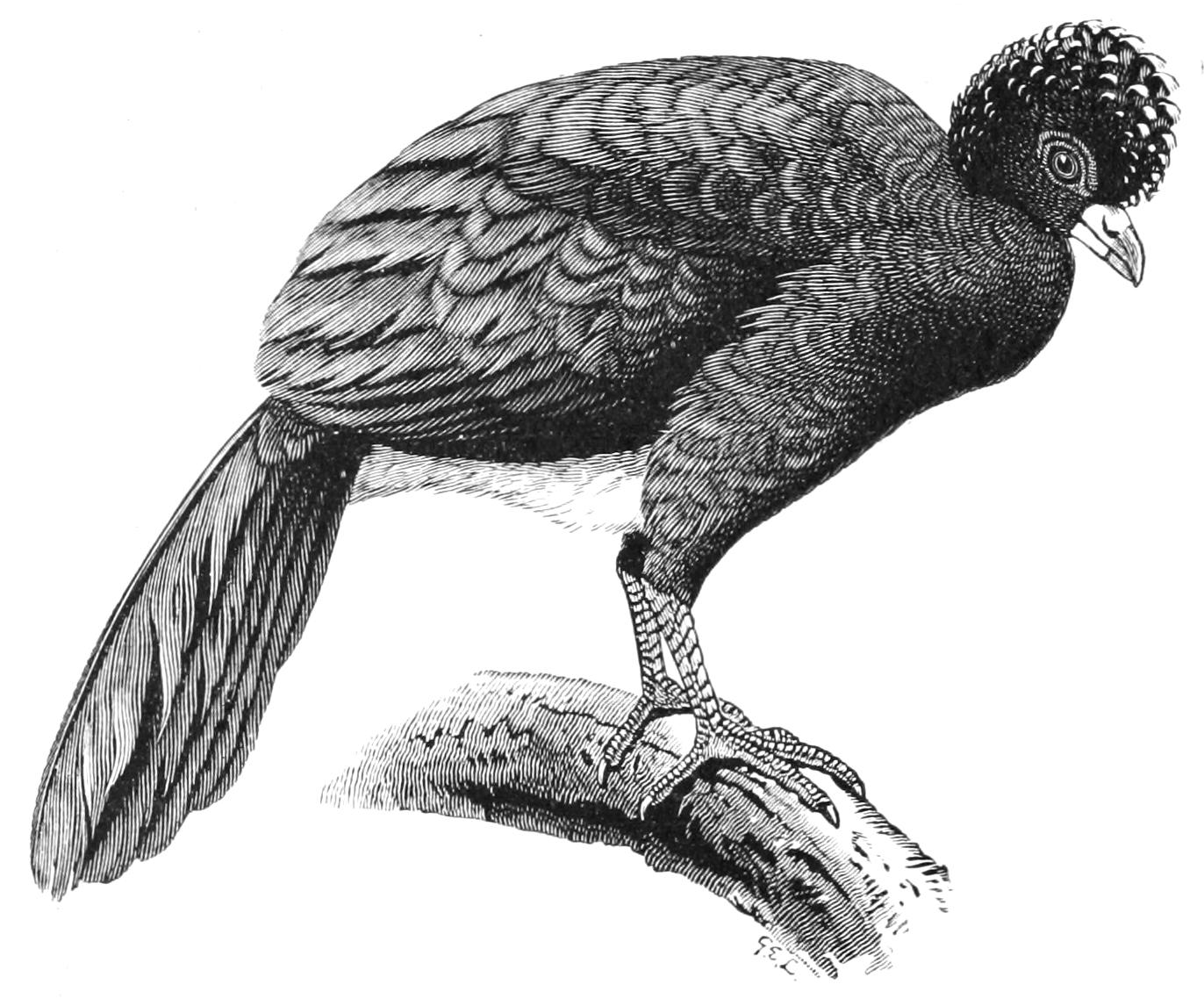 fig45