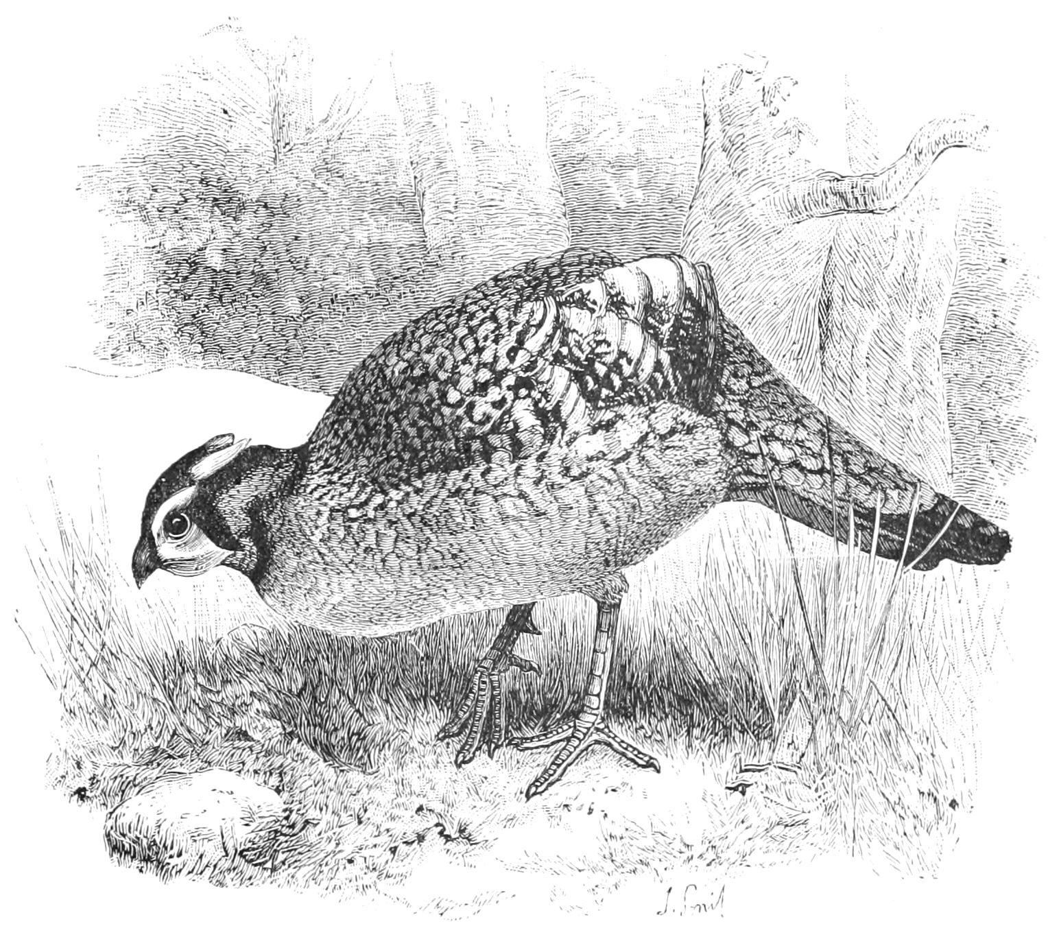 fig47