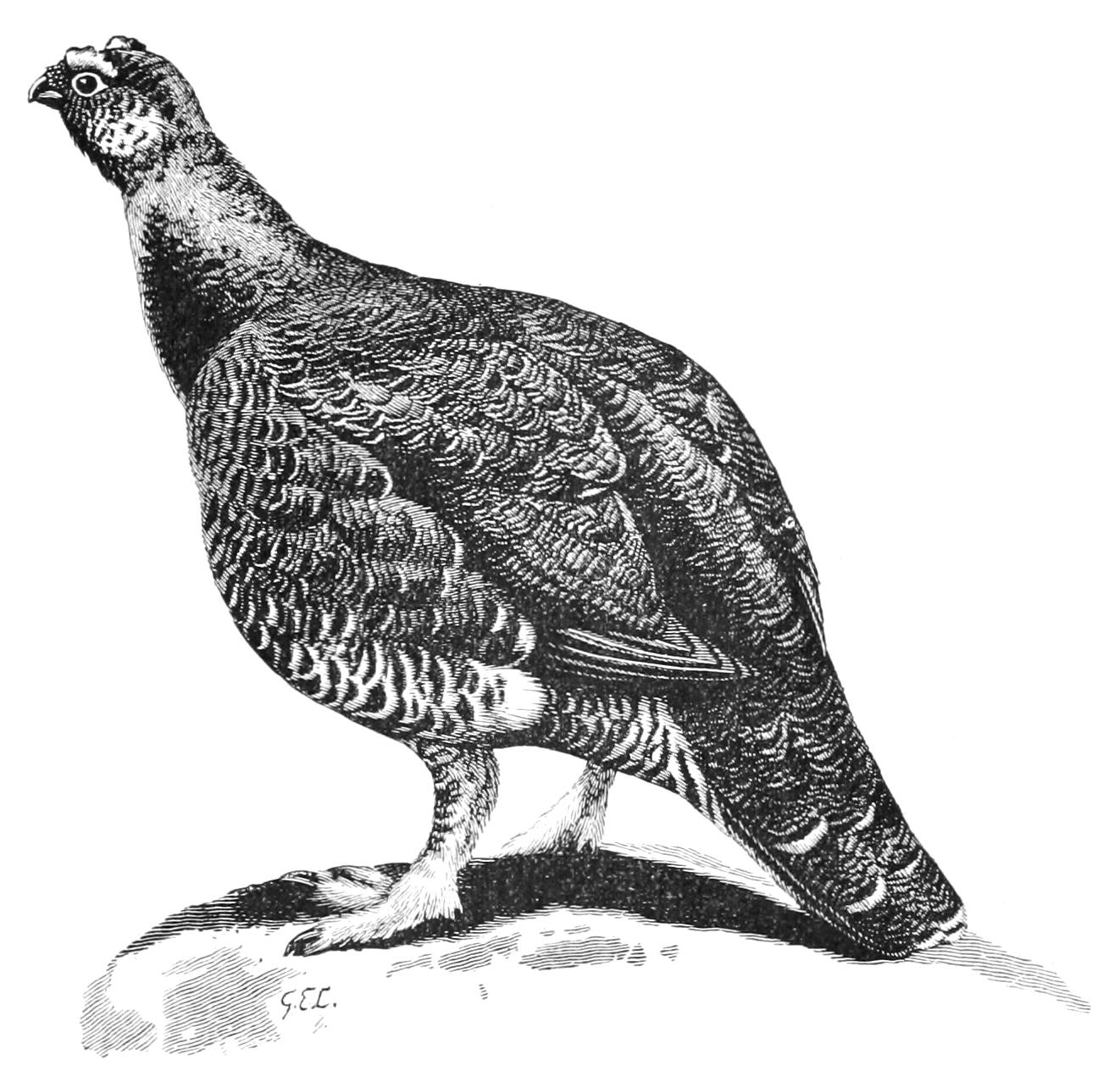 fig48