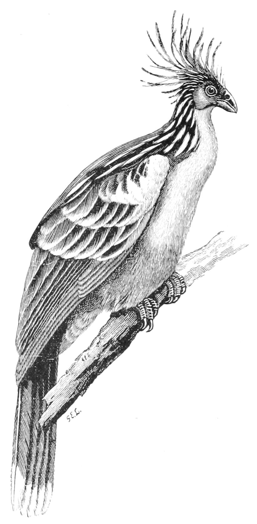 fig49