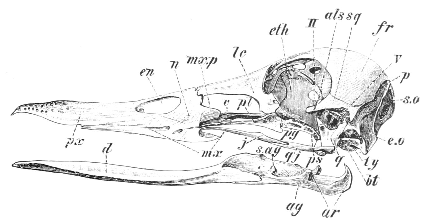 fig5