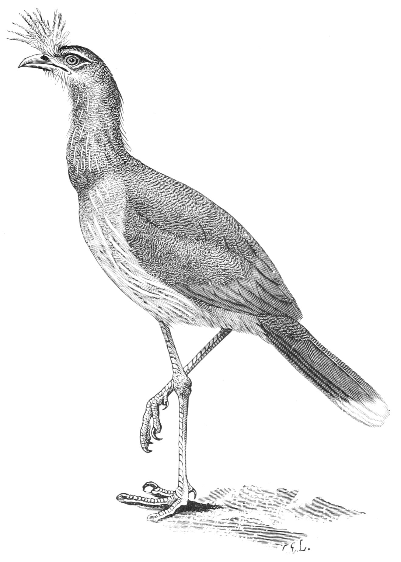 fig53