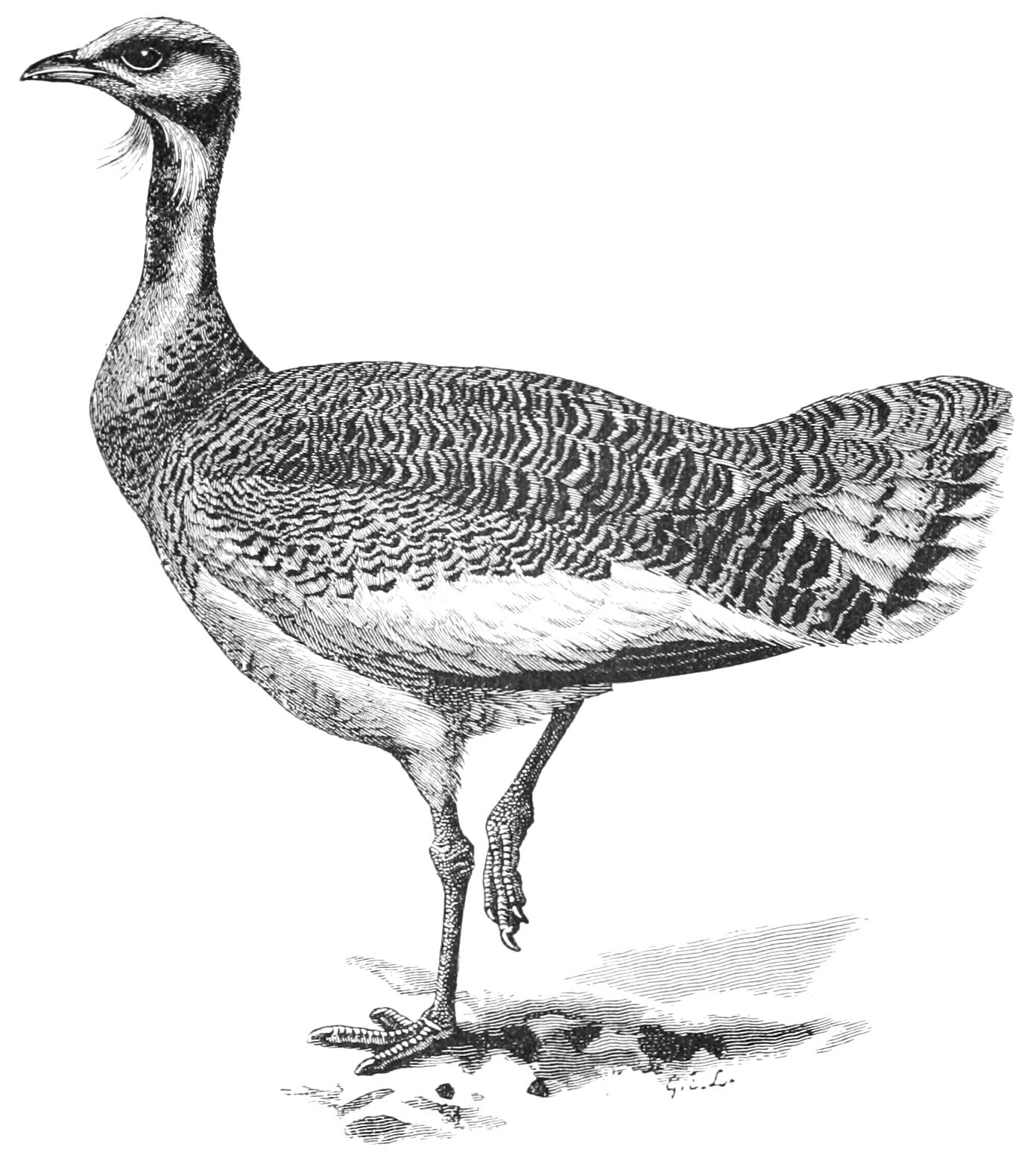 fig54