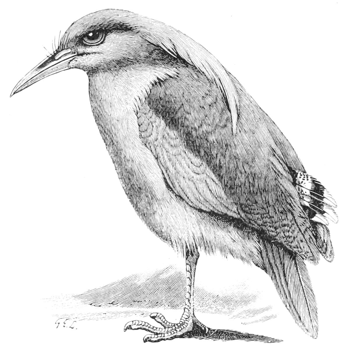 fig55