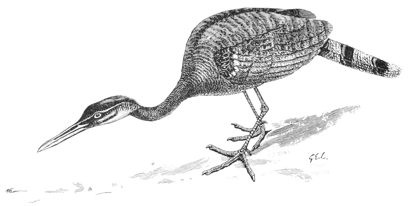 fig56
