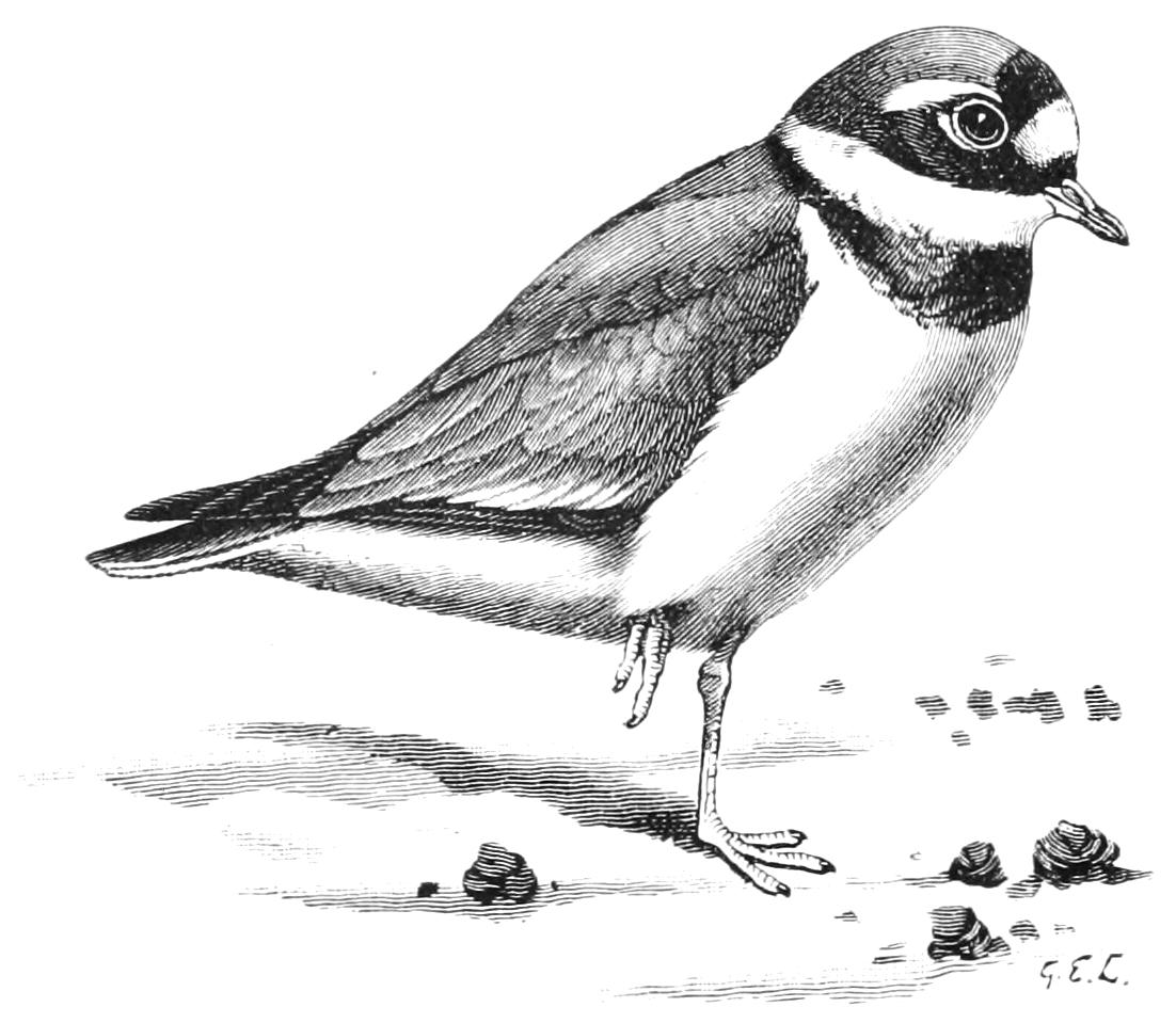 fig57