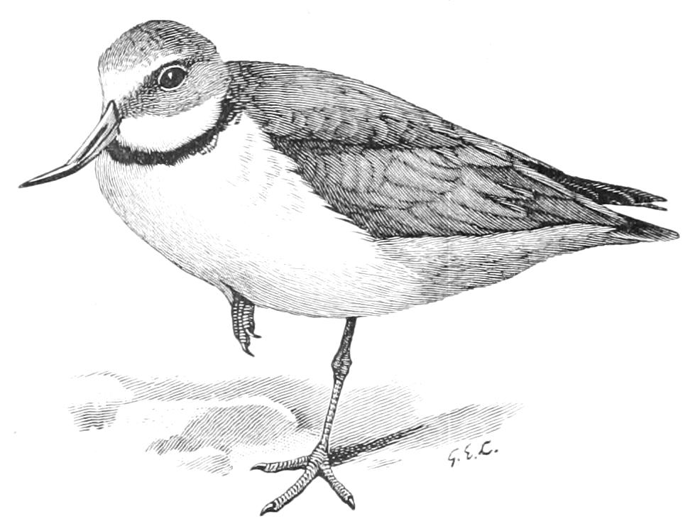 fig58