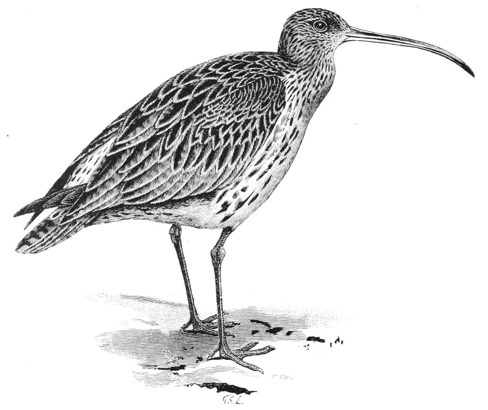 fig59