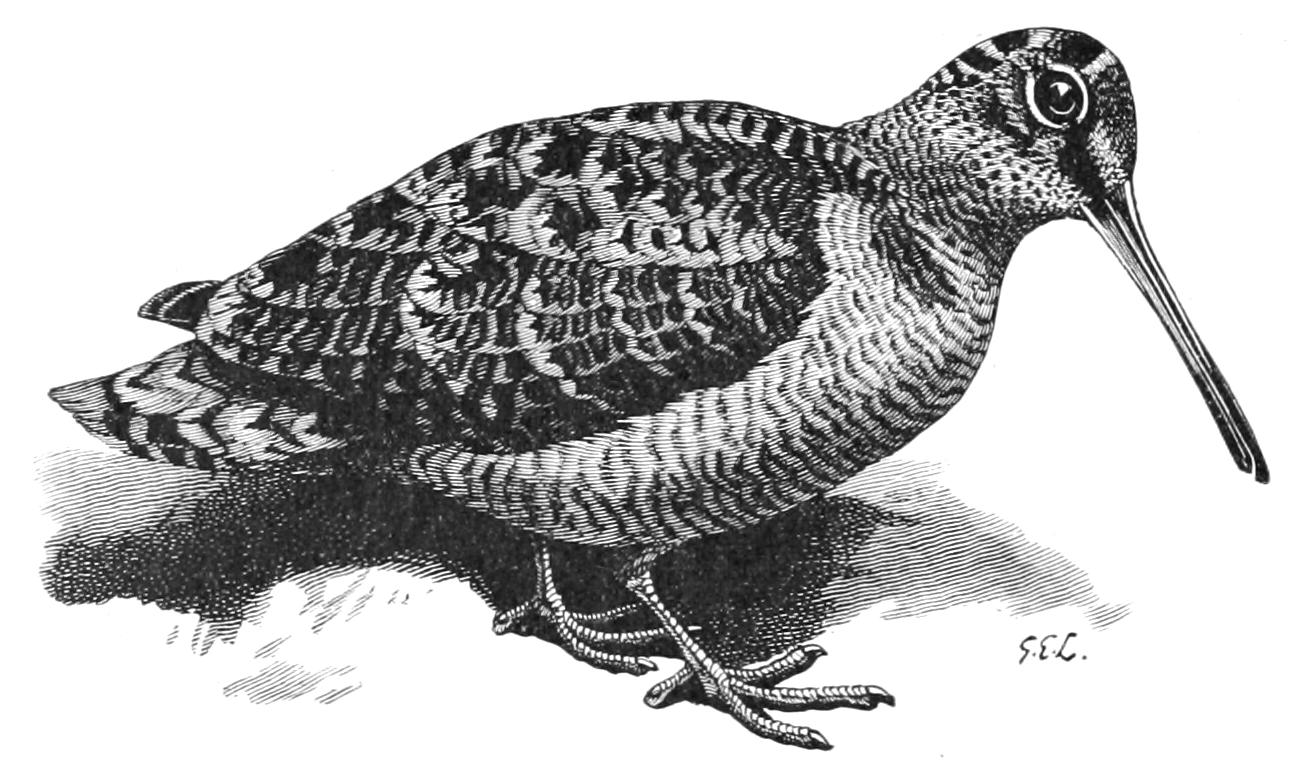 fig60