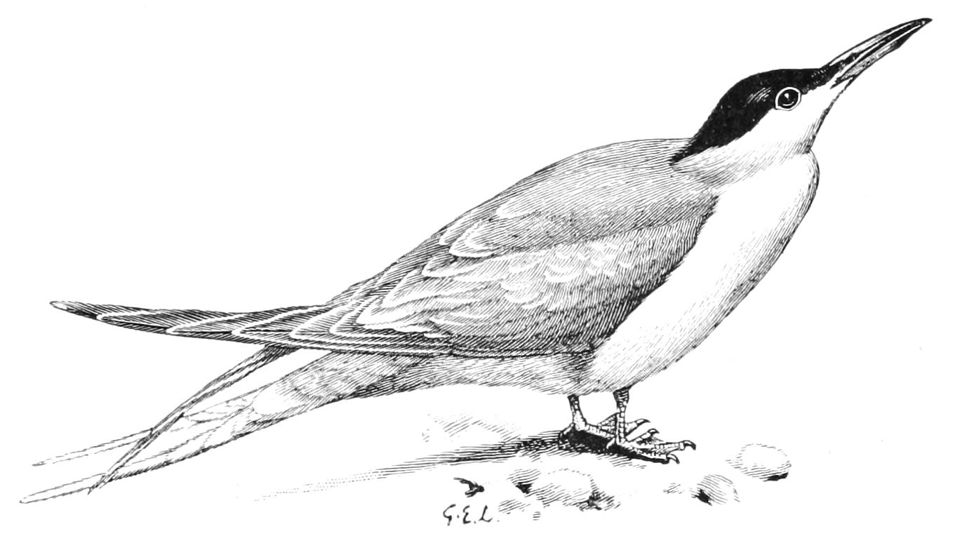 fig63