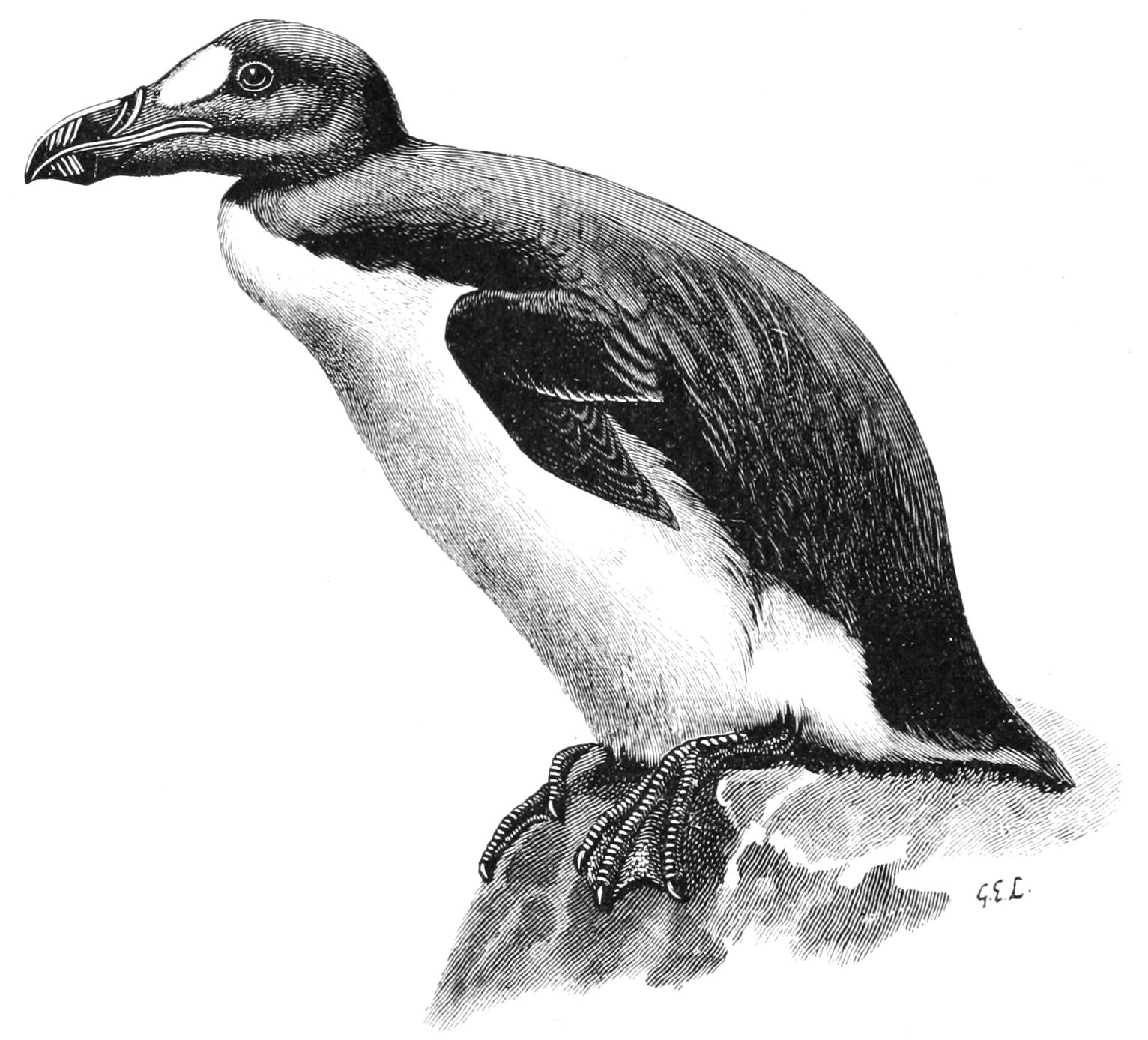 fig64