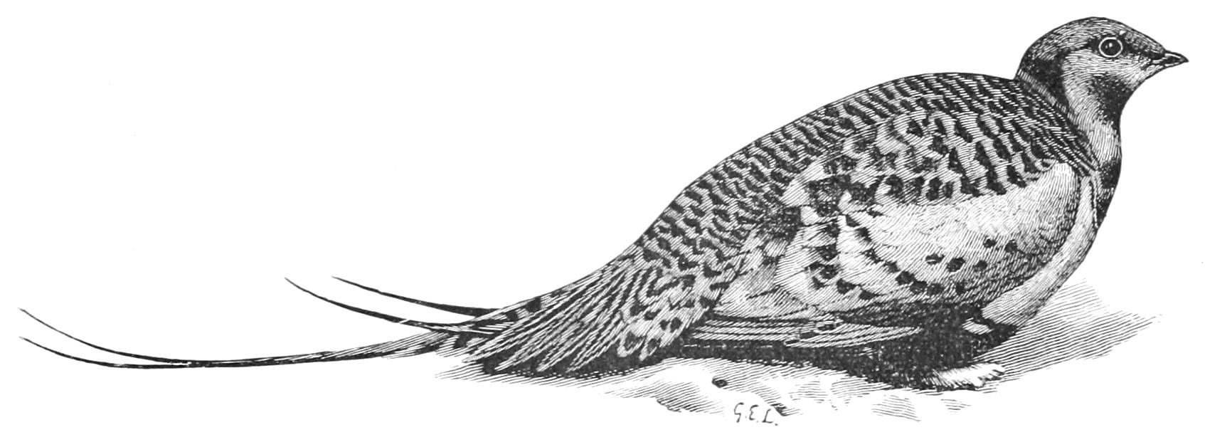 fig65