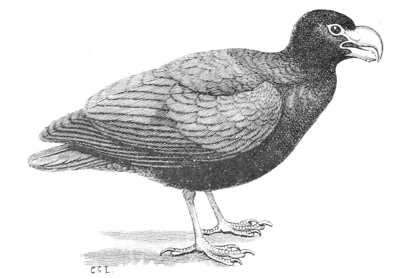 fig67