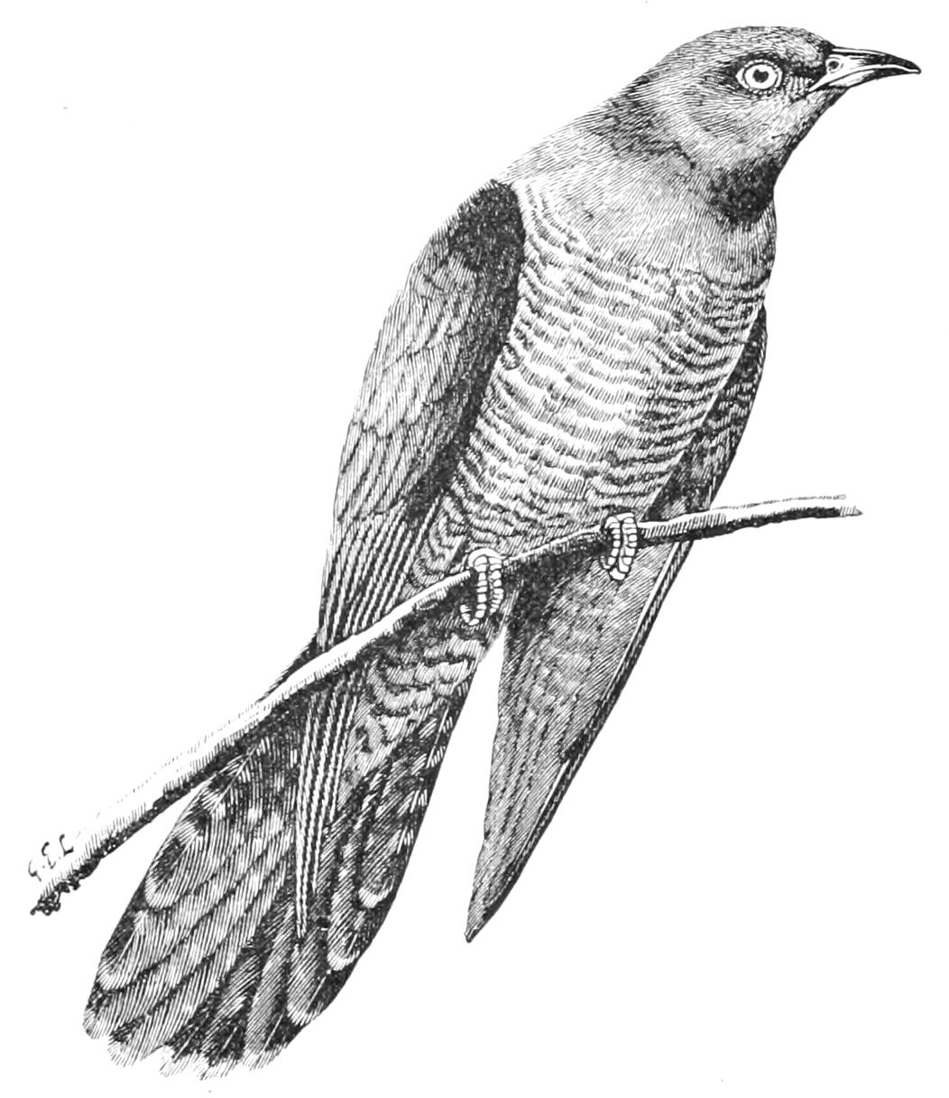 fig69