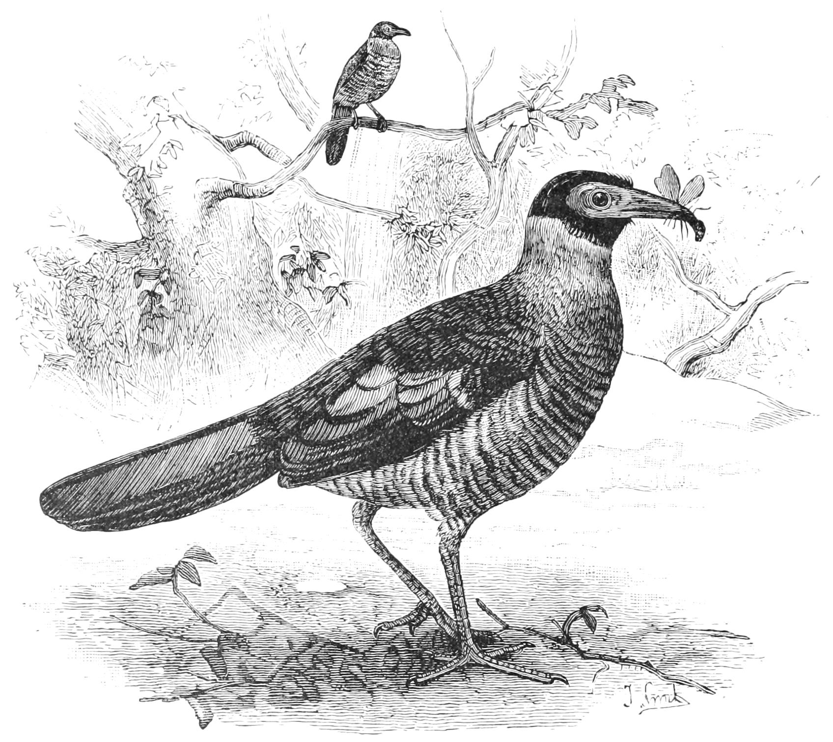 fig70