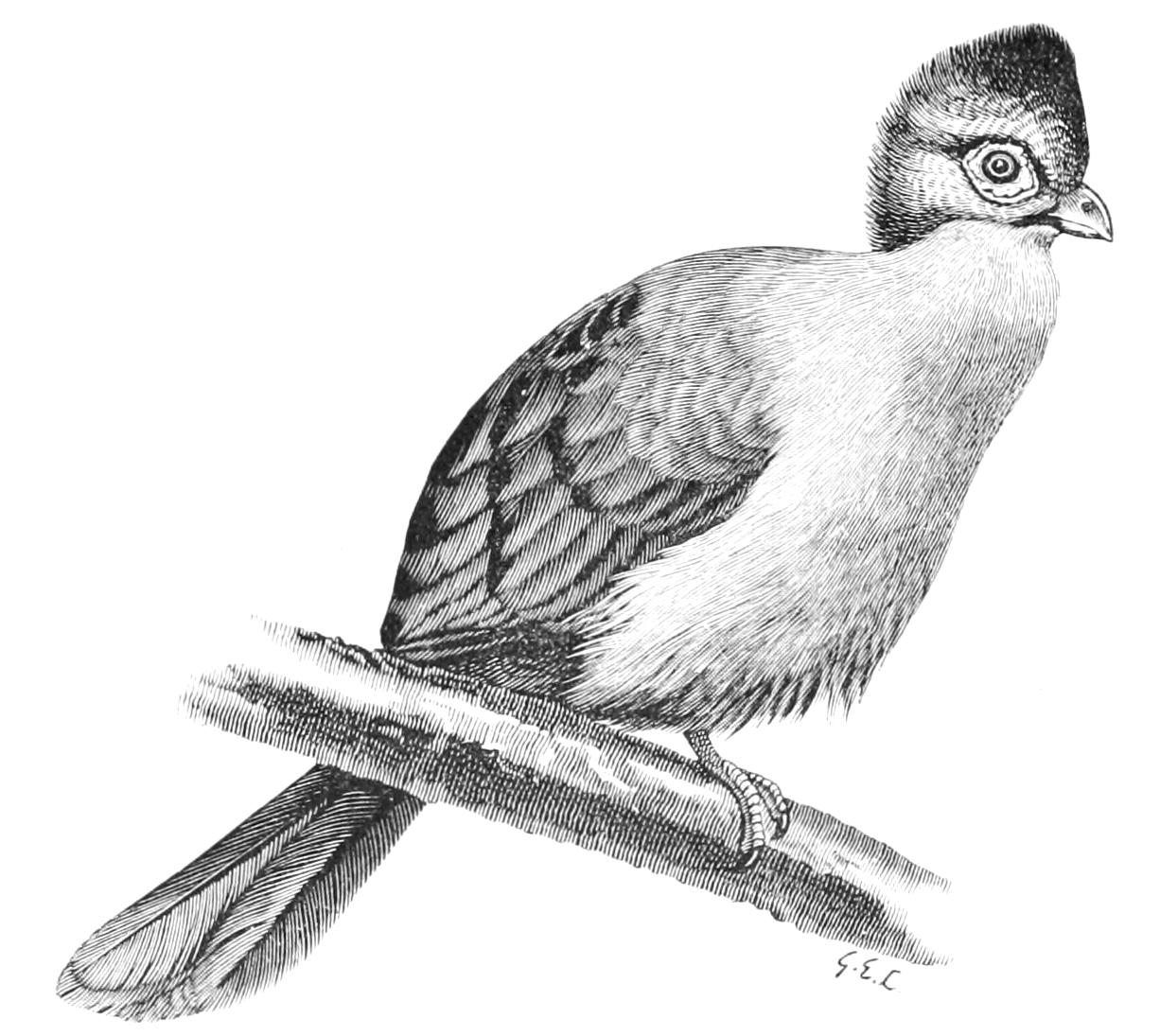 fig71