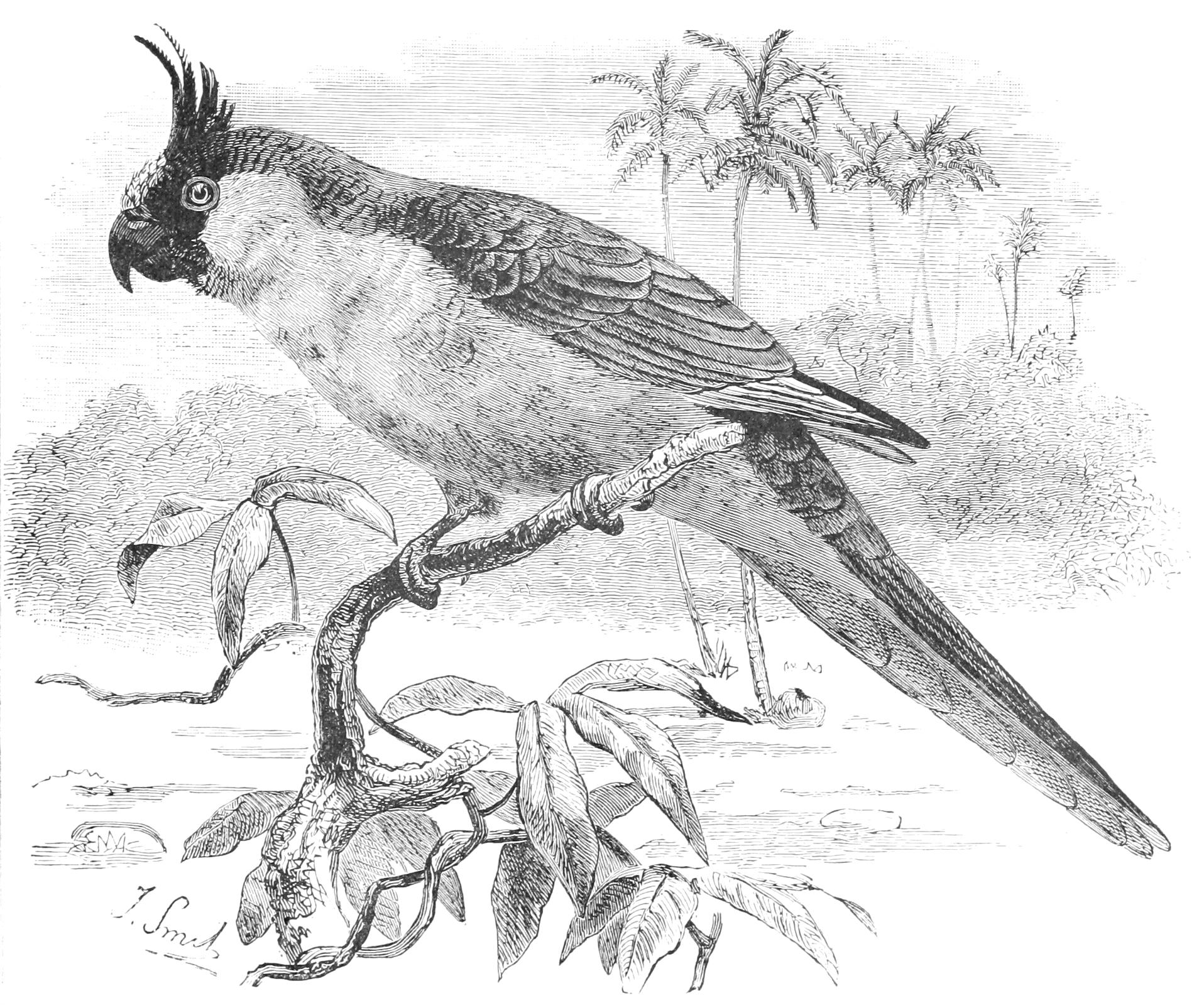 fig72