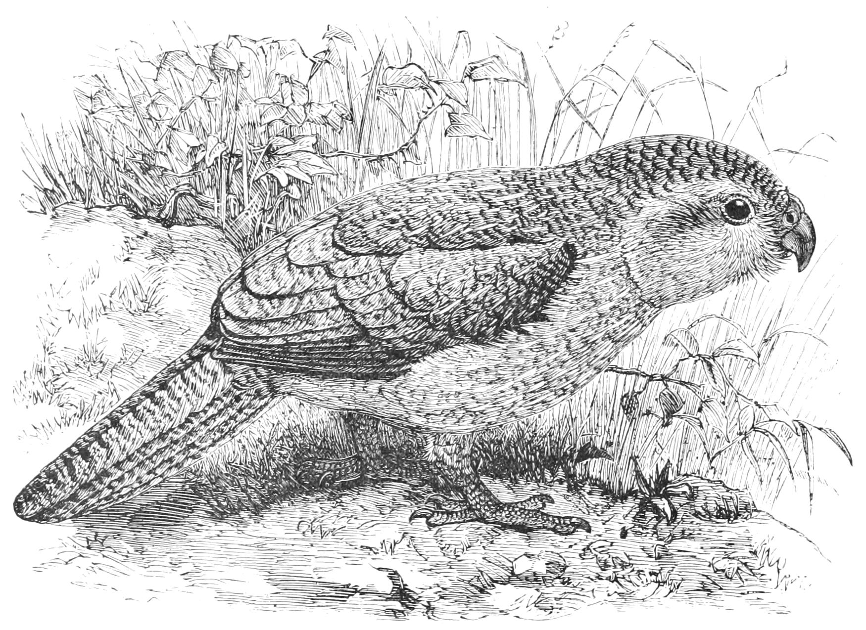 fig73