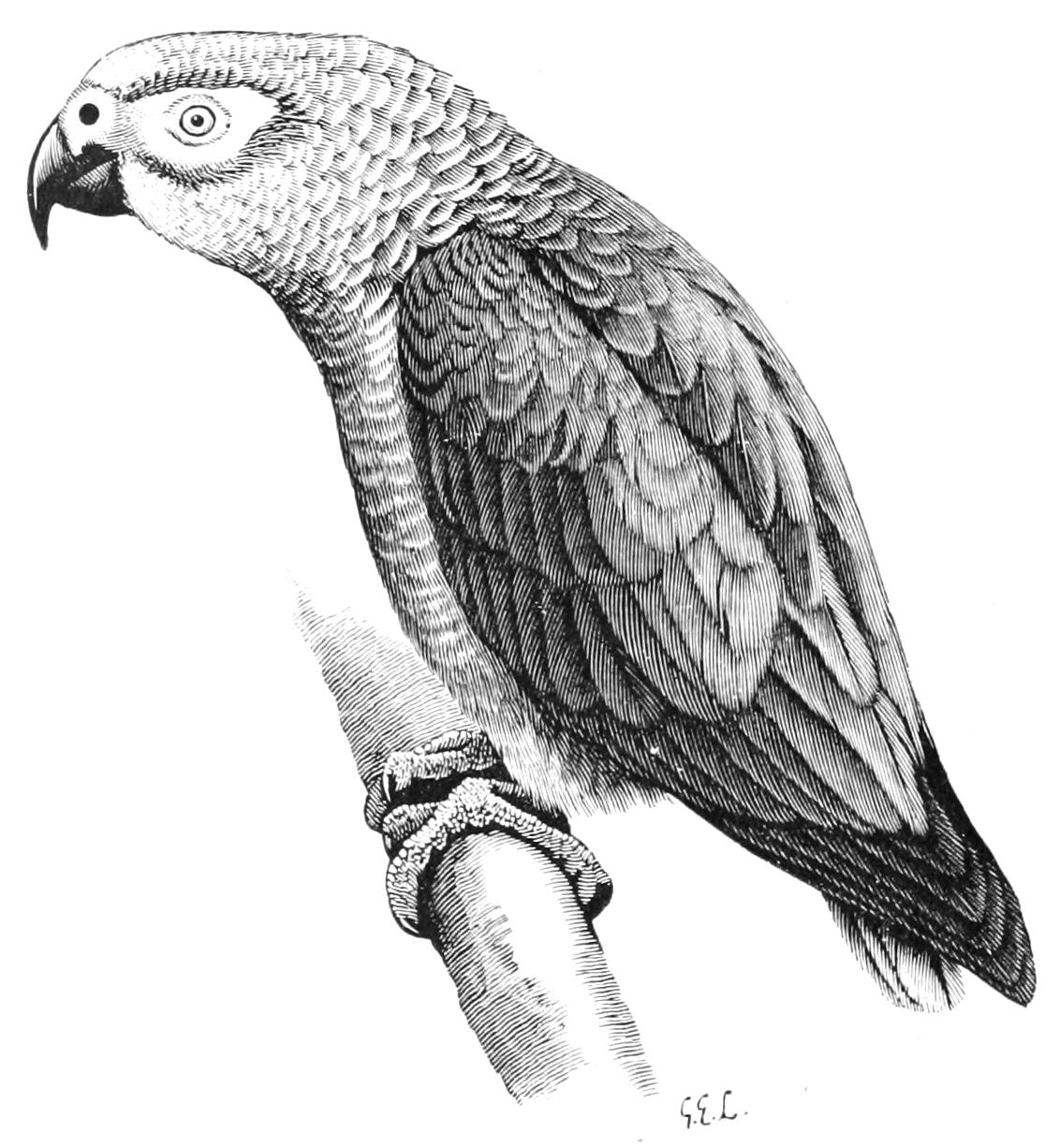 fig74
