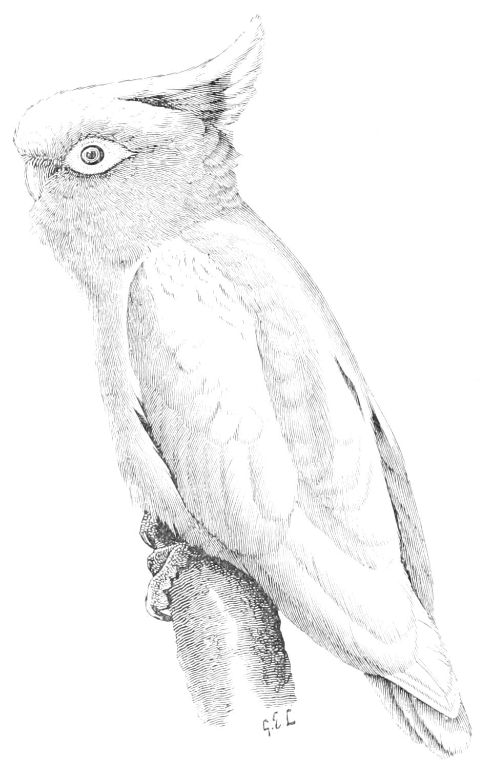 fig75