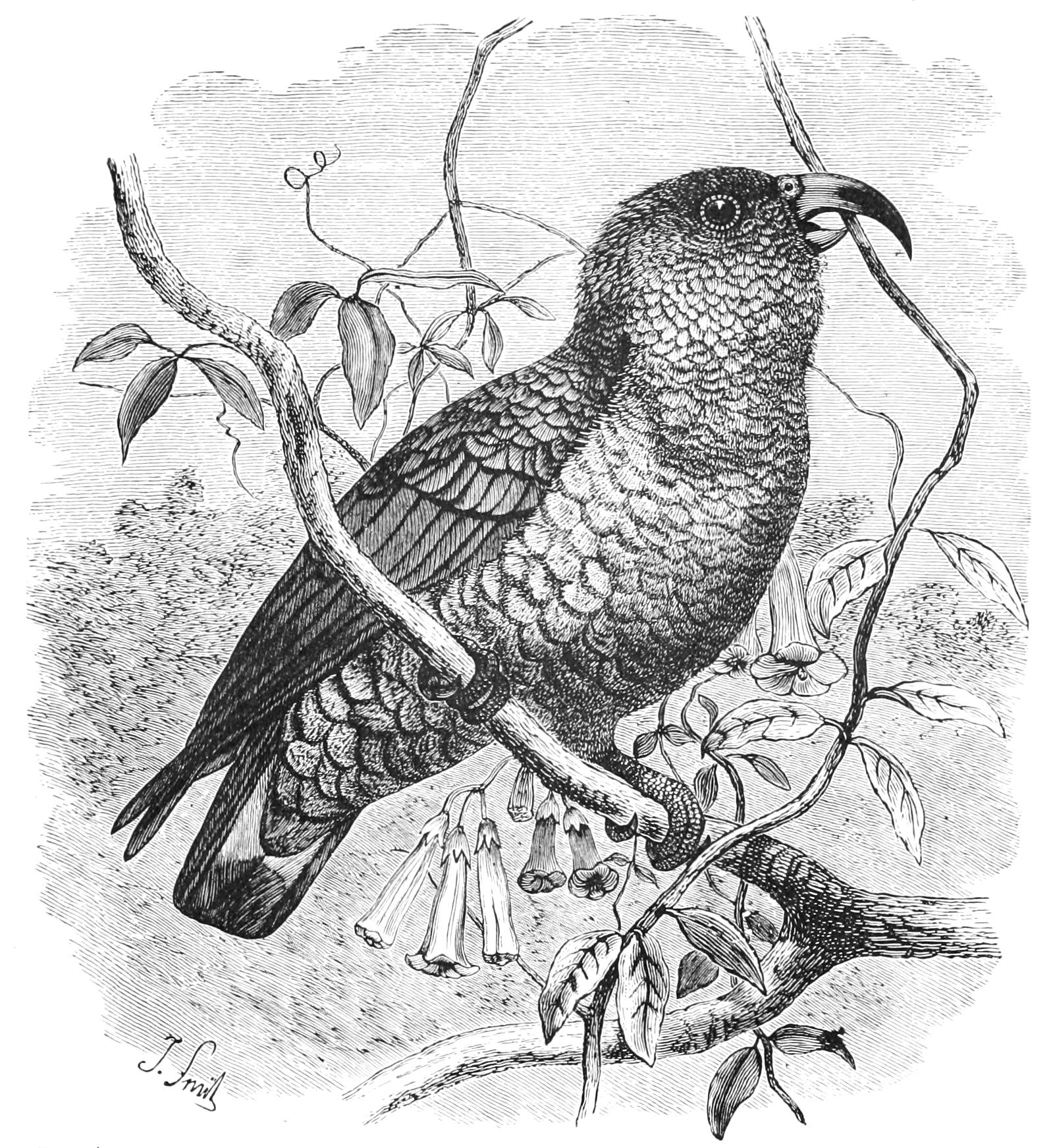 fig76