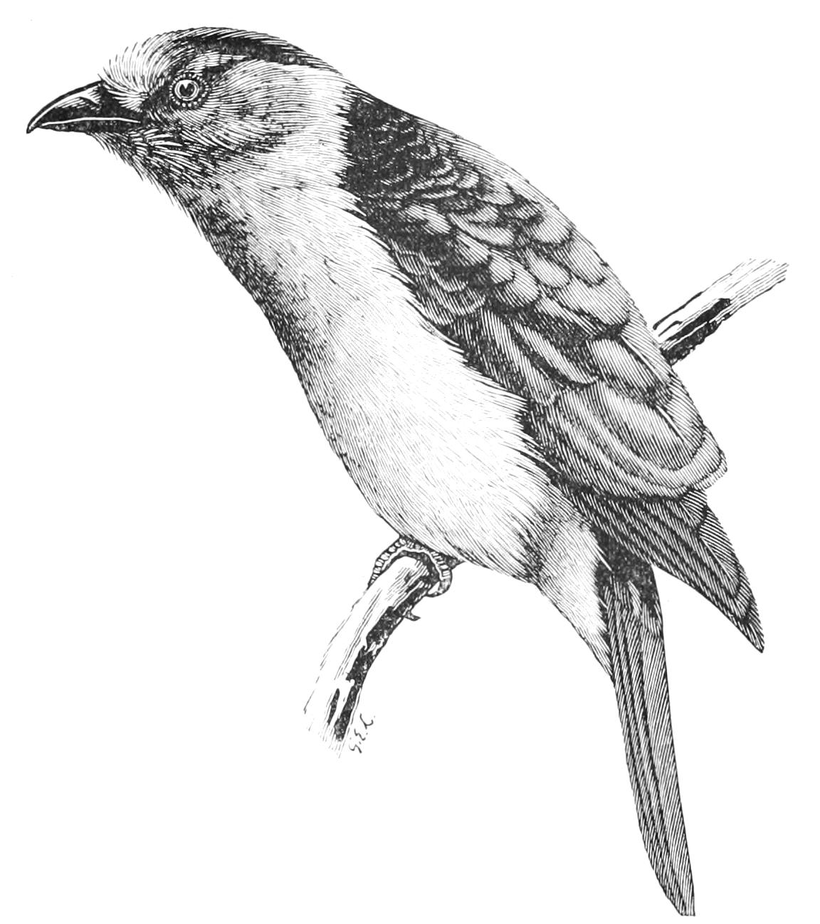 fig77