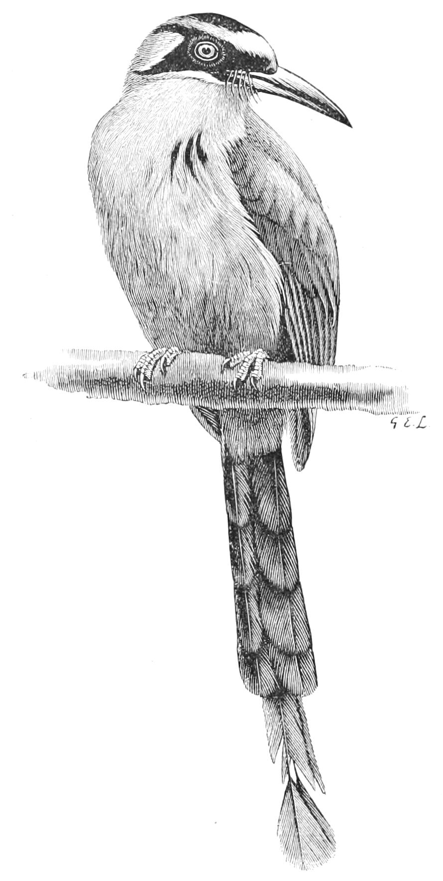 fig78