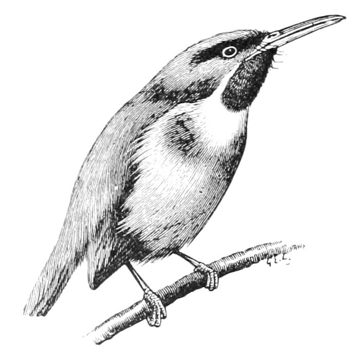 fig79