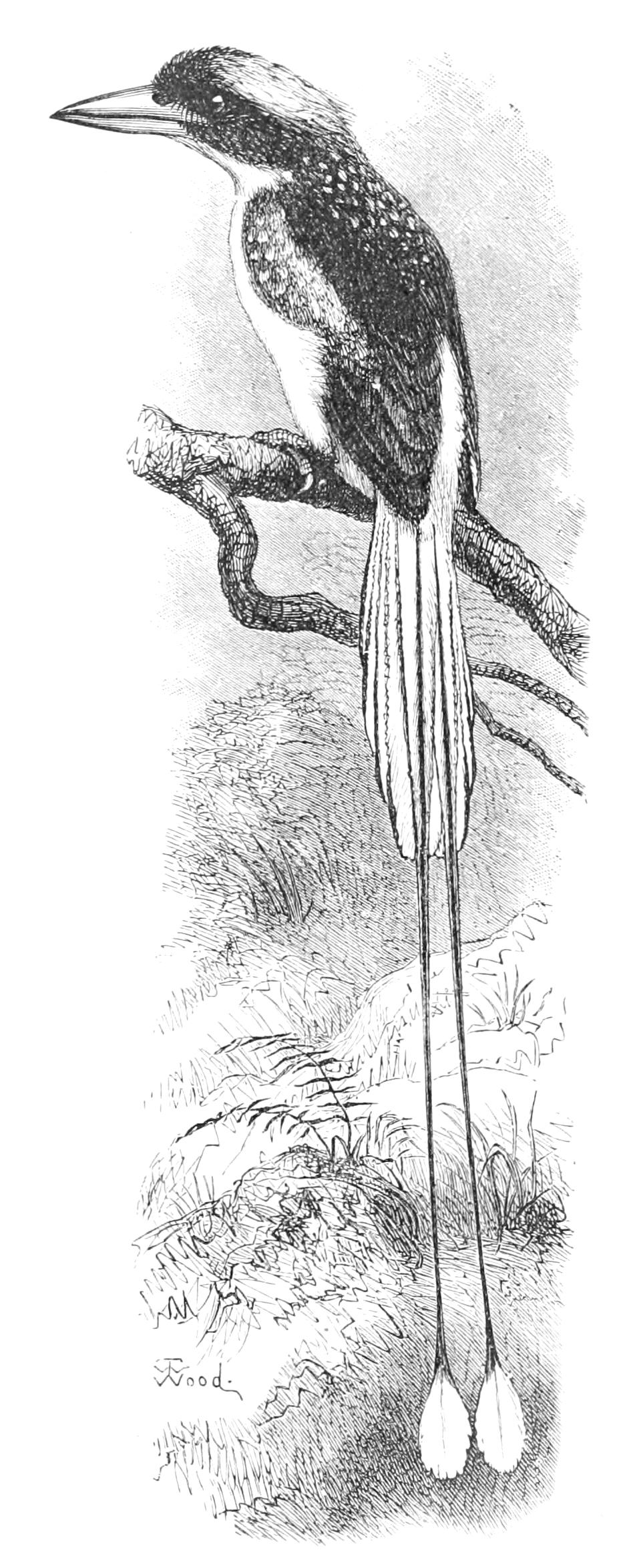 fig80