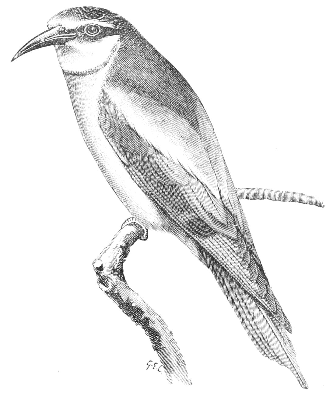 fig81