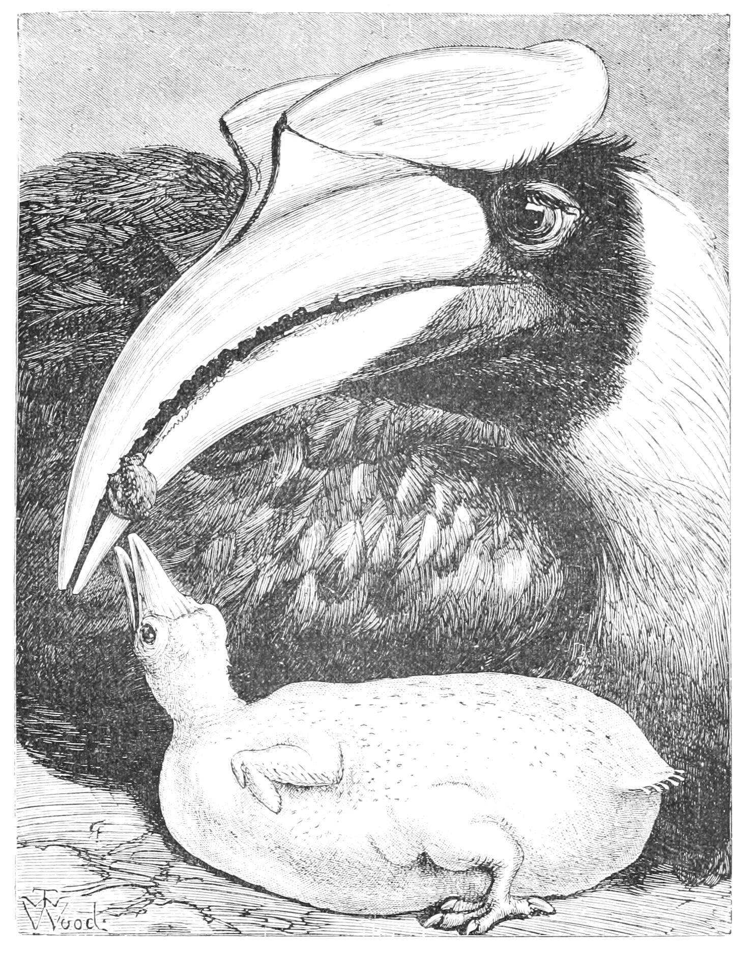 fig82