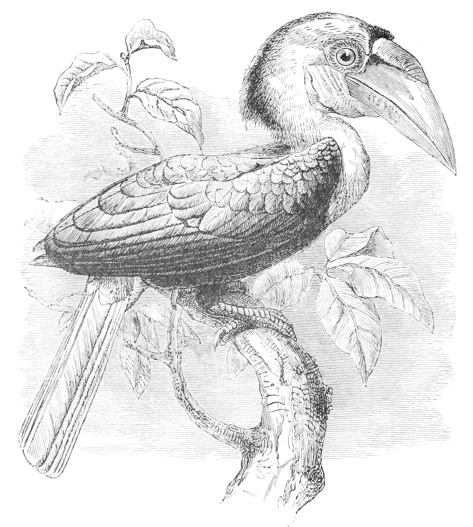 fig83