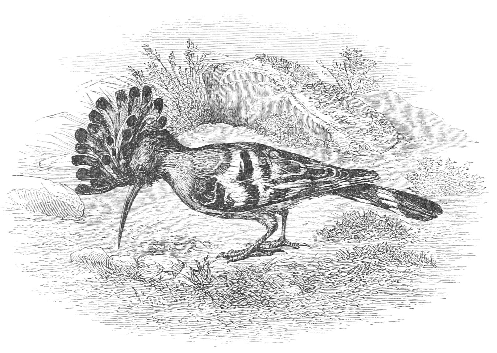 fig84