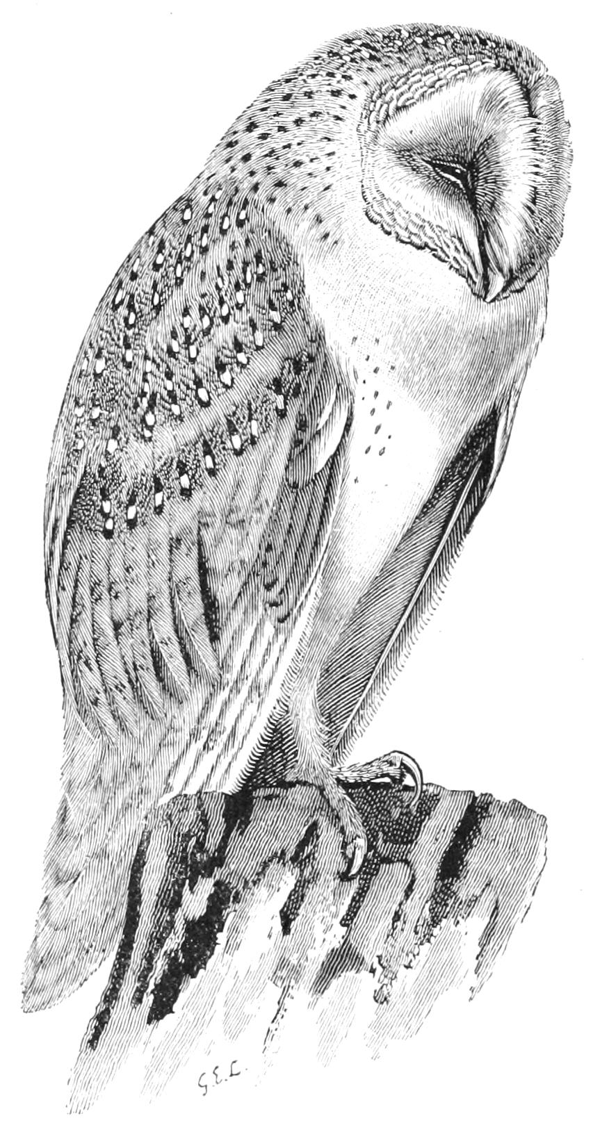 fig85