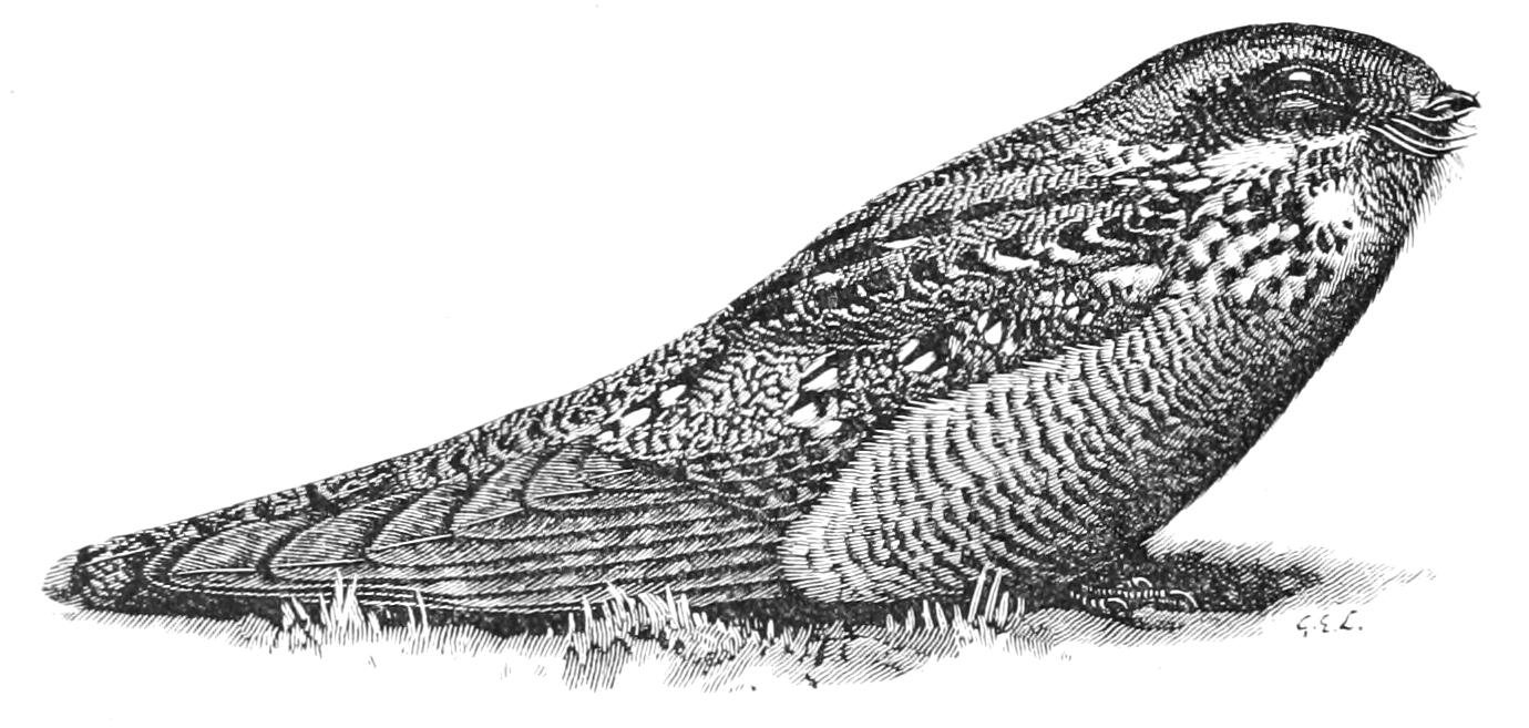 fig87