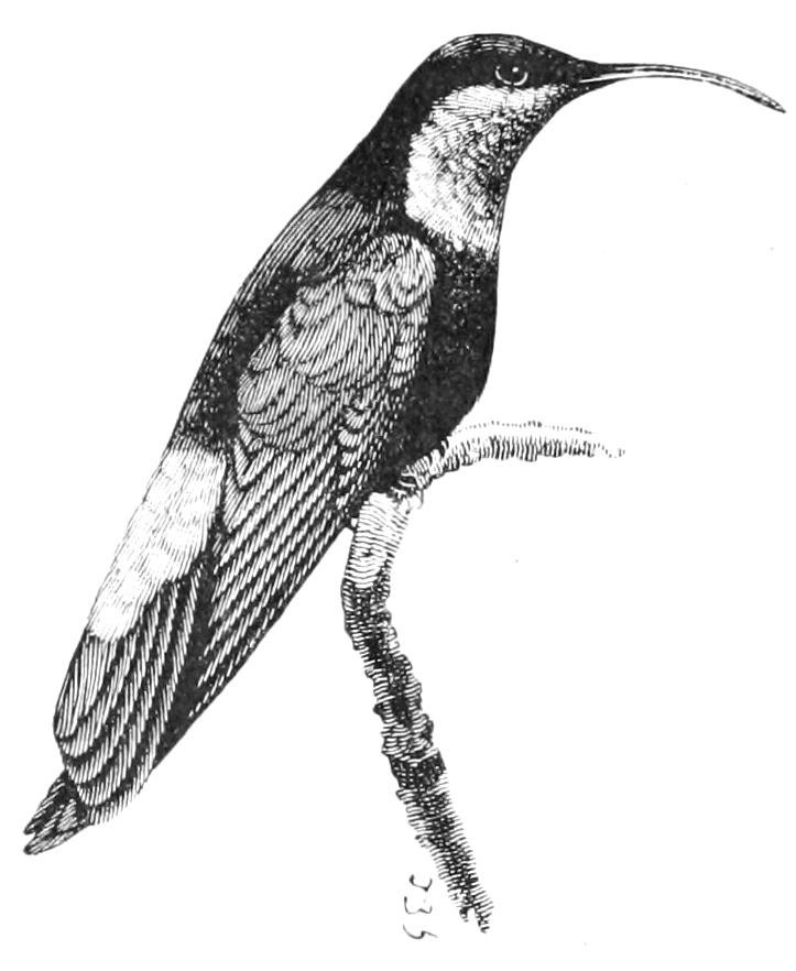 fig89