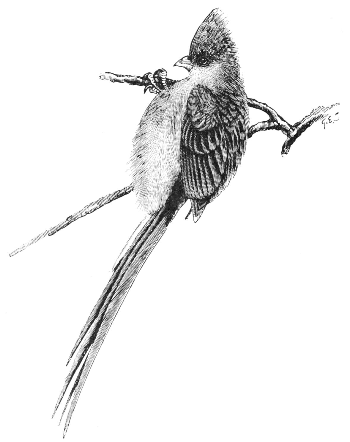 fig91