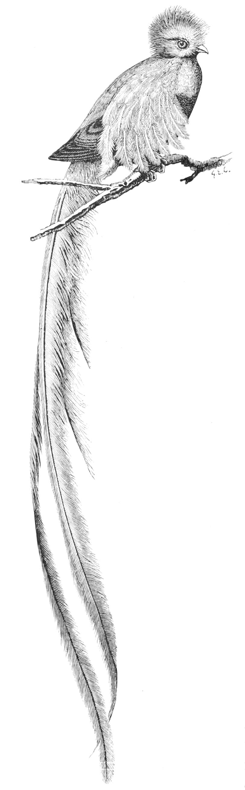 fig92