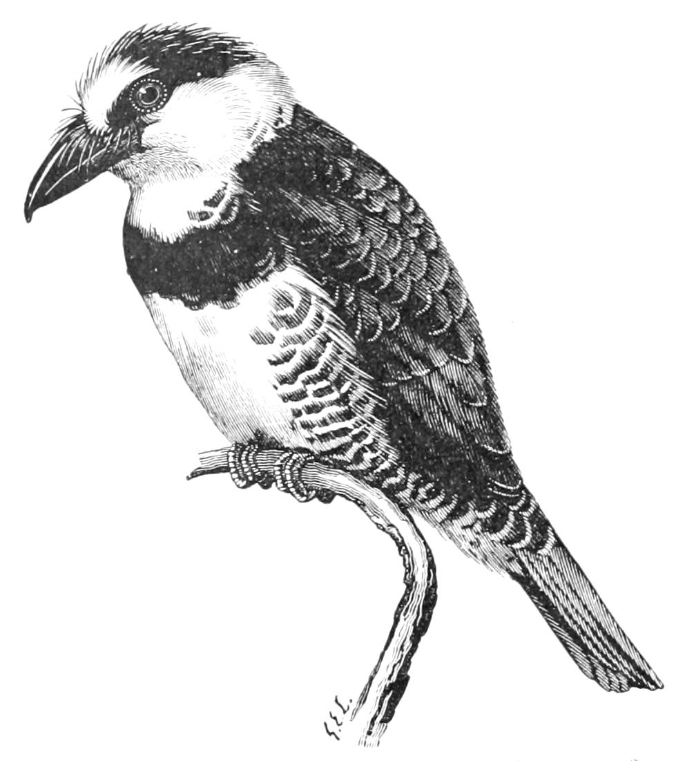 fig93