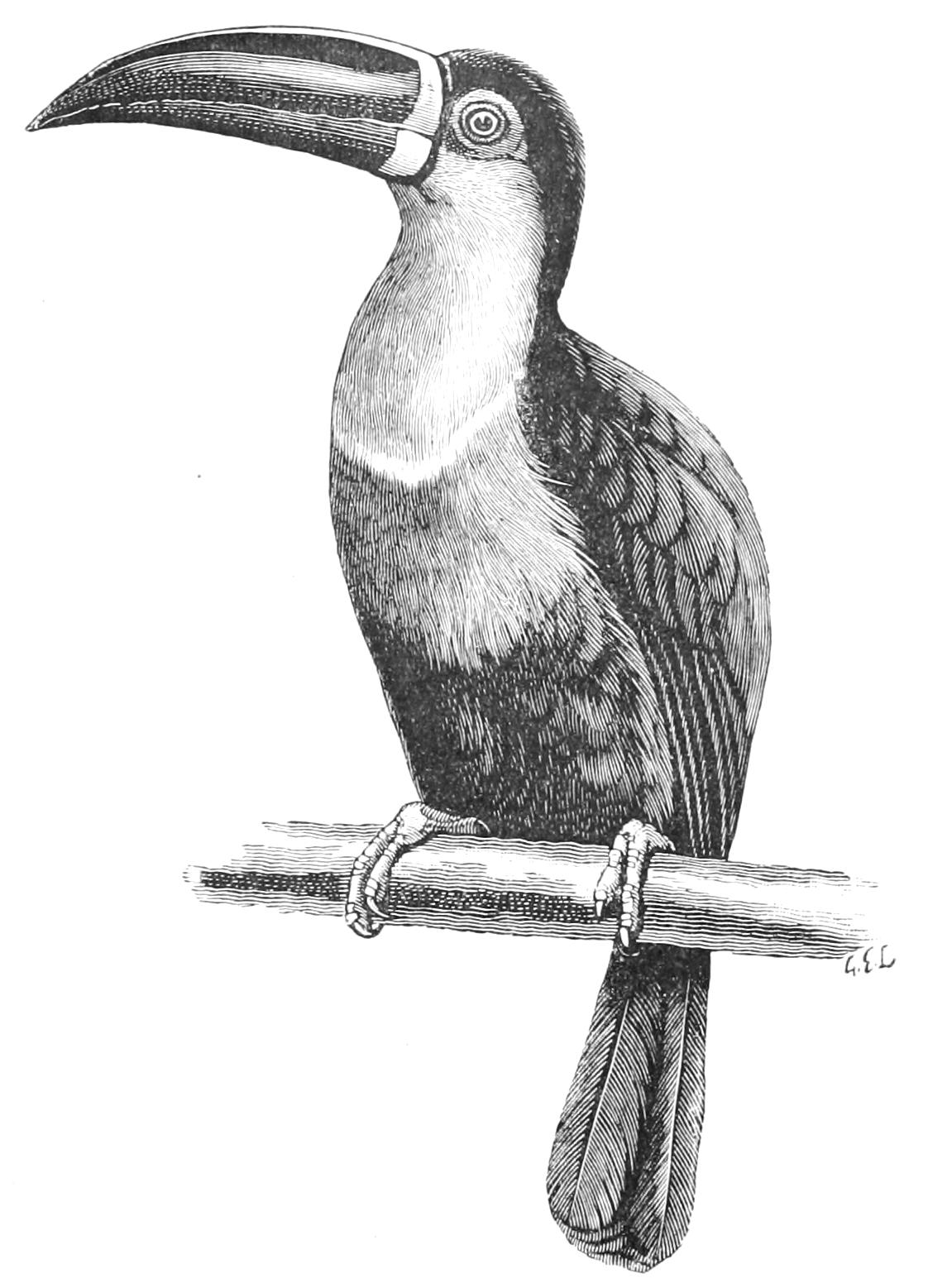 fig94