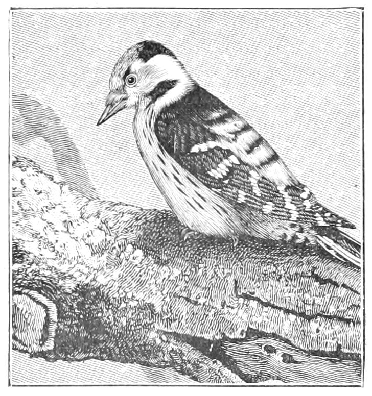 fig95